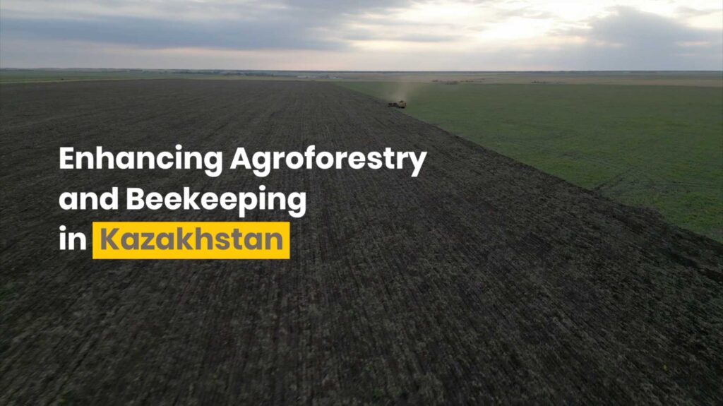 Screenshot that reads "Enhancing Agroforestry and Beekeping in Kazakhstan"